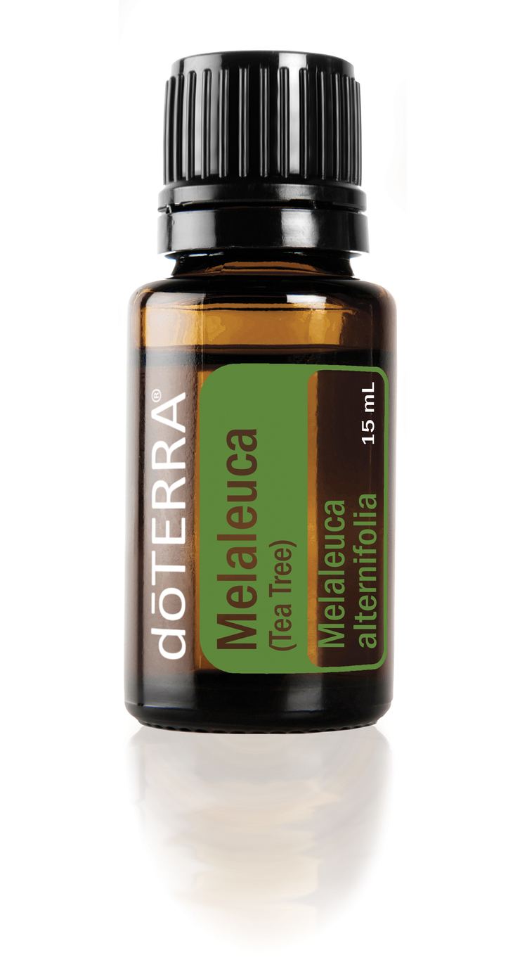 Melaleuca Melaleuca Tea Tree Oil doTERRA Essential Oils