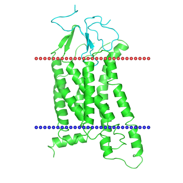 Melanocortin 4 receptor 2iqv Melanocortin4 receptor model inactive state with