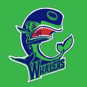 Melbourne Whalers httpsuploadwikimediaorgwikipediaenccaMel