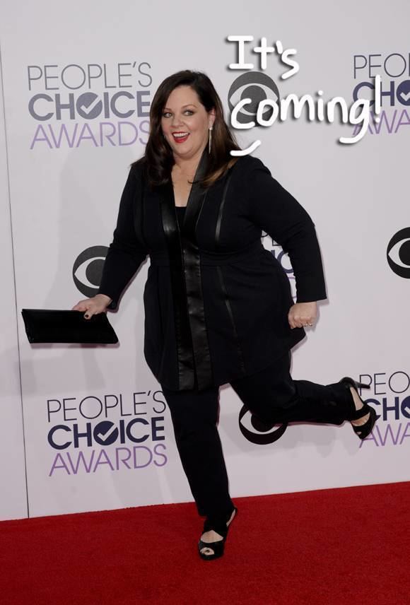 Melissa McCarthy Melissa McCarthy39s Clothing Line Gets A Name And Release