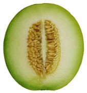 Melon httpsuploadwikimediaorgwikipediacommonsthu