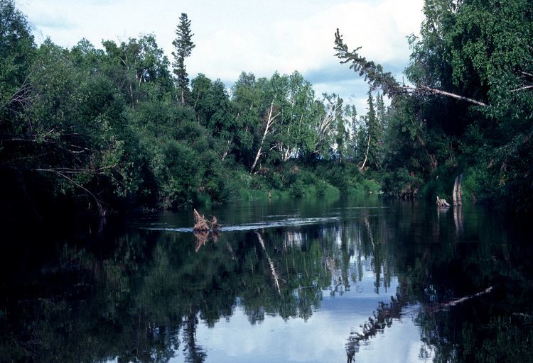 Melozitna River wwwalaskaorgphotosgallery3varalbumsFloatTr