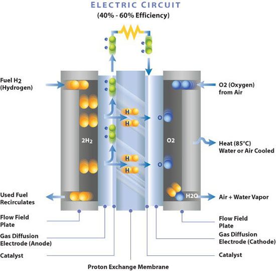 Membrane electrode assembly