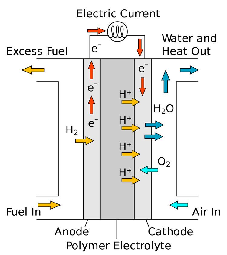 Membraneless Fuel Cells