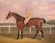 Memnon (horse) httpsuploadwikimediaorgwikipediacommonsthu