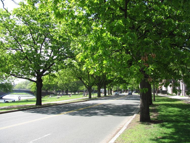 Memorial Drive (Cambridge) httpsuploadwikimediaorgwikipediacommons77
