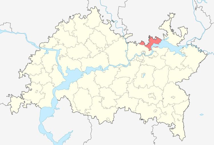Mendeleyevsky District