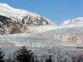 Mendenhall Glacier httpsuploadwikimediaorgwikipediacommonsthu