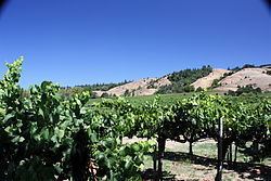 Mendocino County wine httpsuploadwikimediaorgwikipediacommonsthu