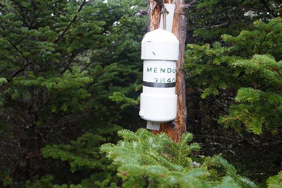 Mendon Peak (Vermont) 4000footerscomphoto20mendon4jpg