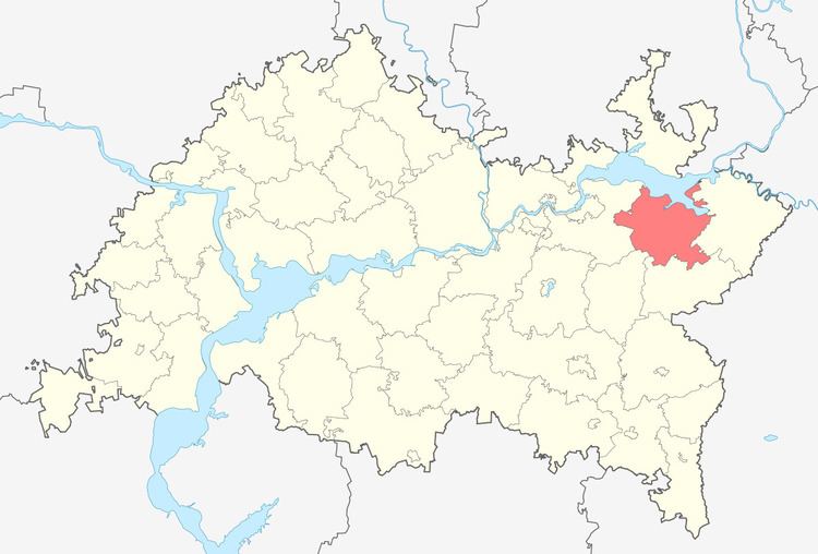 Menzelinsky District