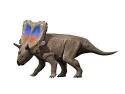 Mercuriceratops Mercuriceratops Wikipedia