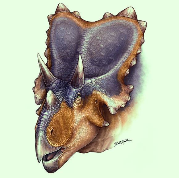 Mercuriceratops cdnscinewscomimages201406image20001Mercu