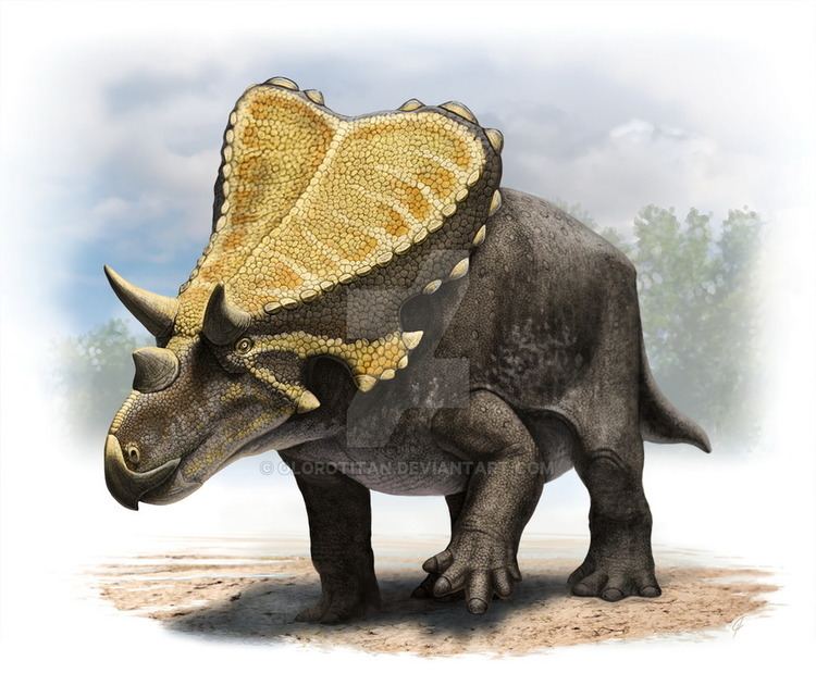 Mercuriceratops Mercuriceratops by Olorotitan on DeviantArt