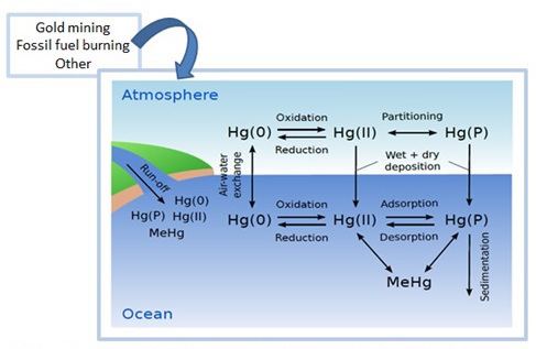 Mercury pollution in the ocean