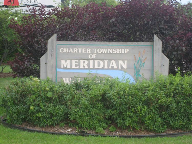 meridian township election