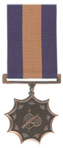 Merit Medal in Bronze