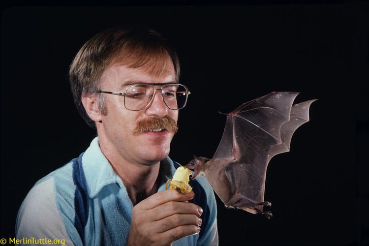Merlin Tuttle Photographing Bats Merlin Tuttles Bat Conservation