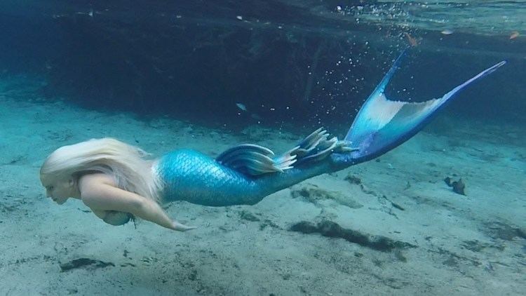 Mermaid BILL39S AMAZING SWIM WITH A MERMAID YouTube