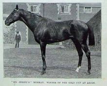 Merman (horse) httpsuploadwikimediaorgwikipediacommonsthu