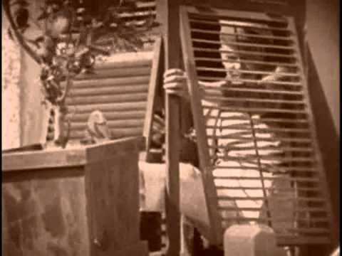 Merry-Go-Round (1923 film) MerryGoRound 1923 YouTube