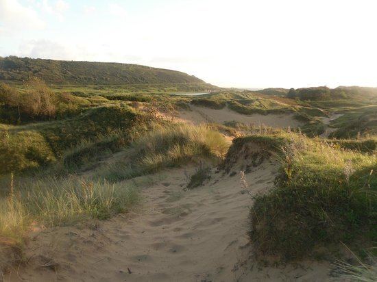 Merthyr Mawr Sand Dunes Merthyr Mawr Sand Dunes Bridgend Wales Top Tips Before You Go