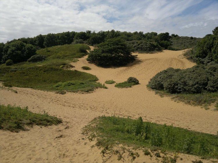 Merthyr Mawr Sand Dunes Merthyr Mawr Sand Dunes in Bridgend These sand dunes will amaze you