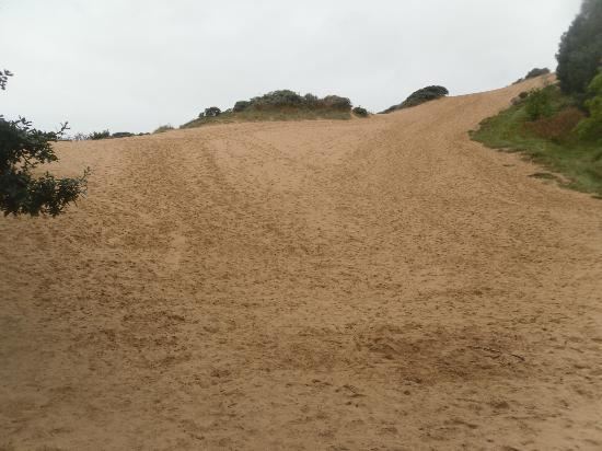 Merthyr Mawr Sand Dunes httpsmediacdntripadvisorcommediaphotos02