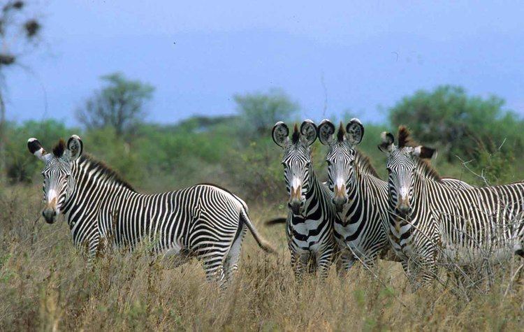 Meru National Park Meru National Park Kenya Wildlife Service