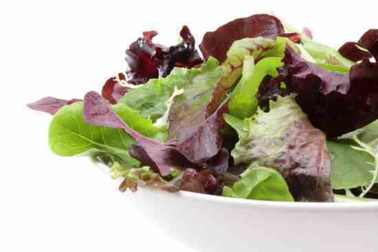 Mesclun Mesclun Salad Grow Your Own Greens Organic Gardening MOTHER