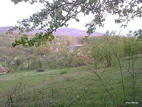 Meseș Mountains httpsuploadwikimediaorgwikipediacommonsthu