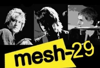 Mesh-29 discography