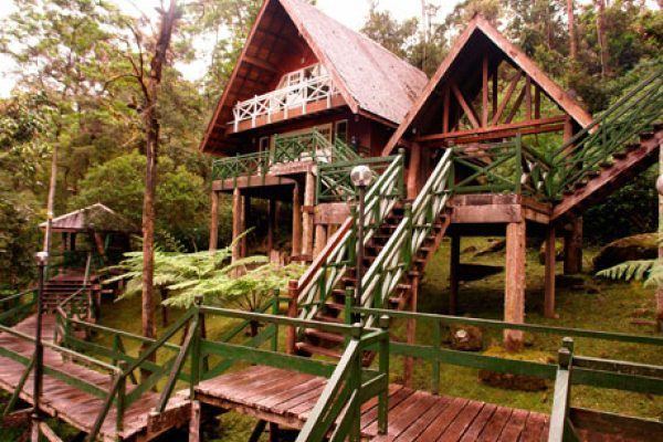 Mesilau Mesilau Places Destination Sabah Malaysian Borneo