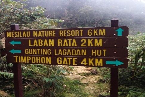 Mesilau SOS Malaysia Mt Kinabalu Climb Mesilau Nature Trails 3D2N