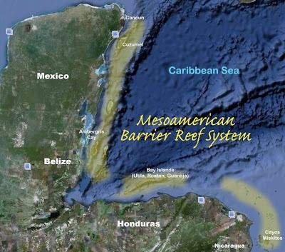 Mesoamerican Barrier Reef System 1bpblogspotcomV20XNMG2GqIS28VhK4XctIAAAAAAA