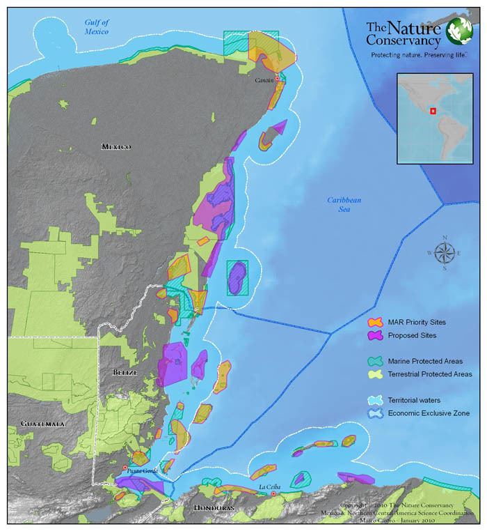 Mesoamerican Barrier Reef System Protecting the Mesoamerican Reef The Nature Conservancy