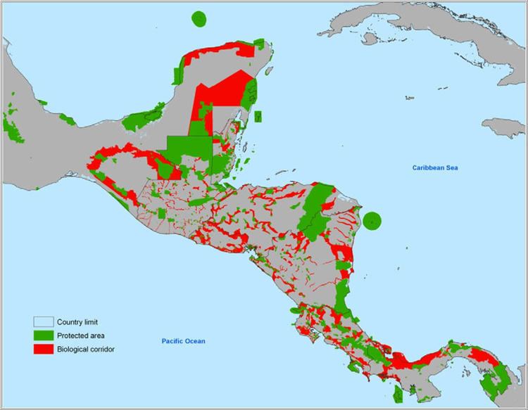 Mesoamerican Biological Corridor Actions do matter 3 Biological Corridors