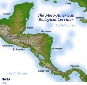 Mesoamerican Biological Corridor Home