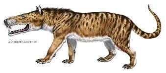 An illustration of the Andrewsarchus, a burnt yellow in color with a white snout, as well as black spots and stripes all over its body.