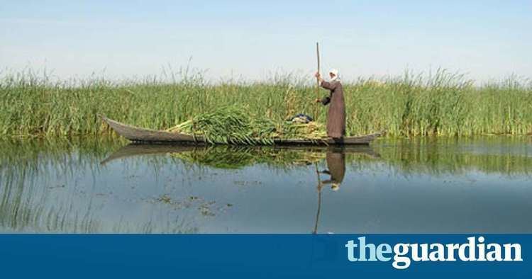 Mesopotamian Marshes Azzam Alwash wins Goldman prize 39Saddam39s marsh drainage project