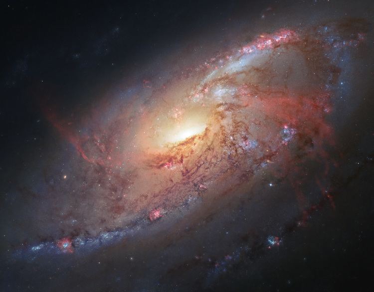 Messier 106 httpsuploadwikimediaorgwikipediacommons22
