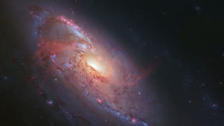 Messier 106 Messier 106 Wallpaper
