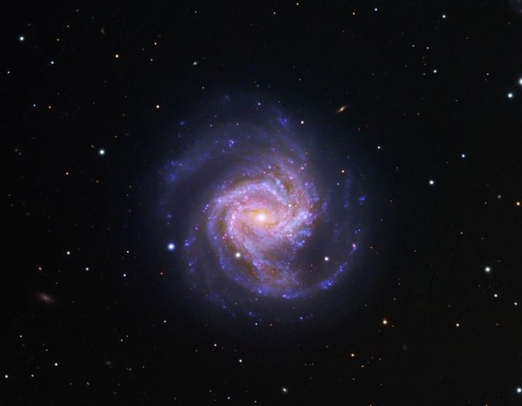 Messier 61 Messier 61 a barred spiral galaxy in Virgo Anne39s Astronomy News