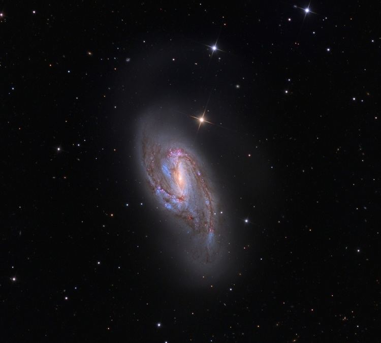 Messier 66 Messier 66 an intermediate spiral galaxy in Leo Anne39s Astronomy News