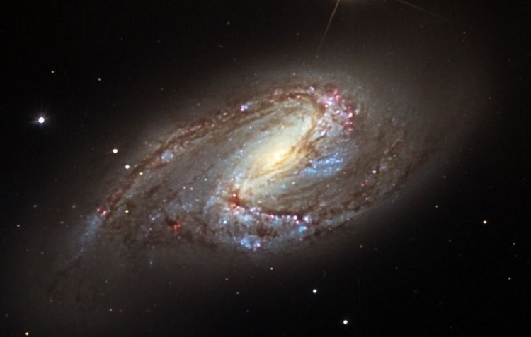 Messier 66 Messier 66 an asymmetric spiral galaxy Anne39s Astronomy News
