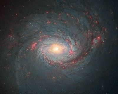 Messier 77 Messier 77 M77 Barred Spiral Galaxy Free Star Charts