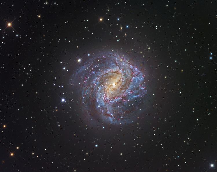 Messier 83 Messier 83 Spiral Galaxy by Rob Gendler Star Image View