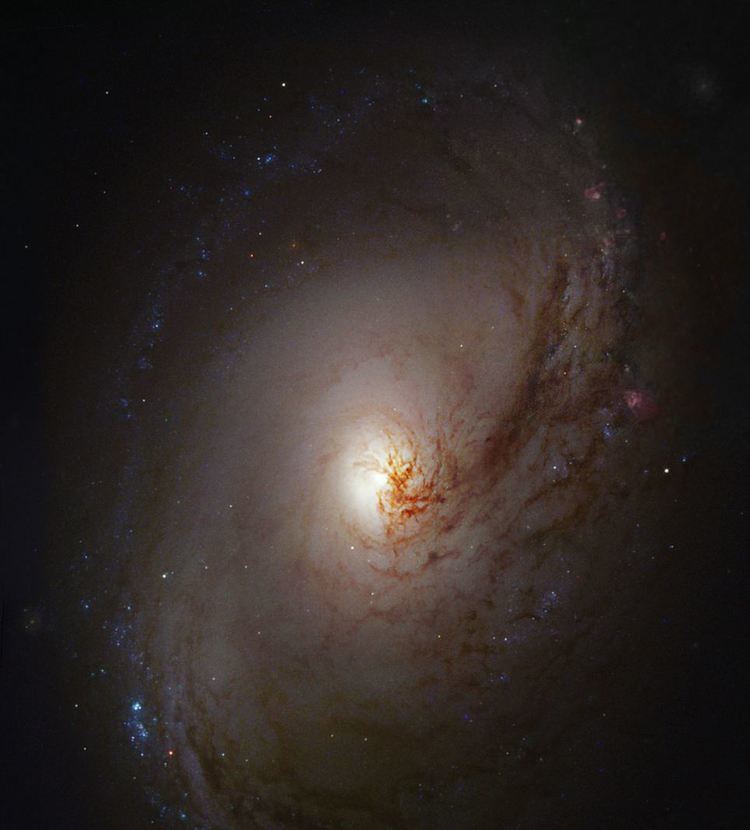 Messier 96 Messier Monday A Galactic Highlight to Ring in the New Year M96