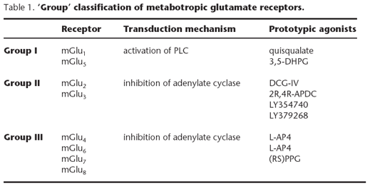 Metabotropic glutamate receptor Metabotropic glutamate receptors Introduction BPSIUPHAR Guide