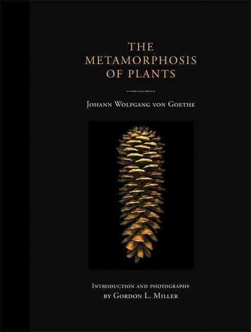 Metamorphosis of Plants t0gstaticcomimagesqtbnANd9GcSe03MYpwS5Uk73L